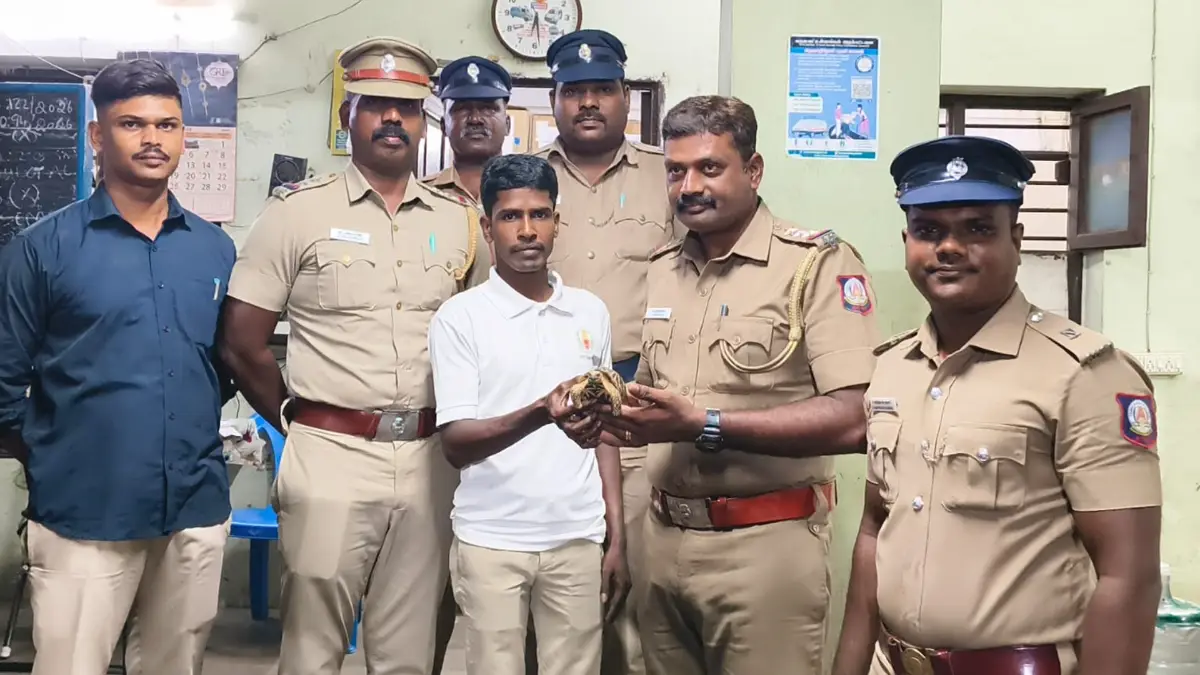 News Image